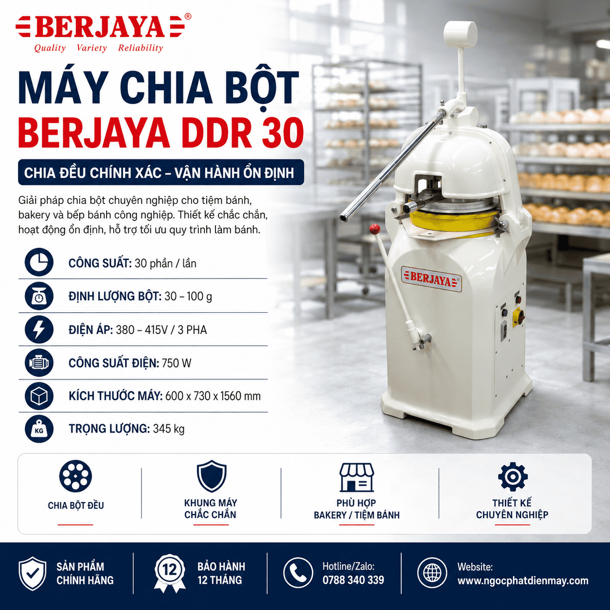 Máy chia bột BERJAYA DDR 30